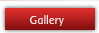 Window Gallery